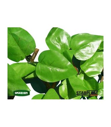 Φυλλωσιά πέργκολα πράσινο ανοιχτό GRASHER 1x2m