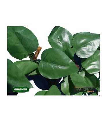 Φυλλωσιά πέργκολα πράσινο σκούρο GRASHER 1x2m